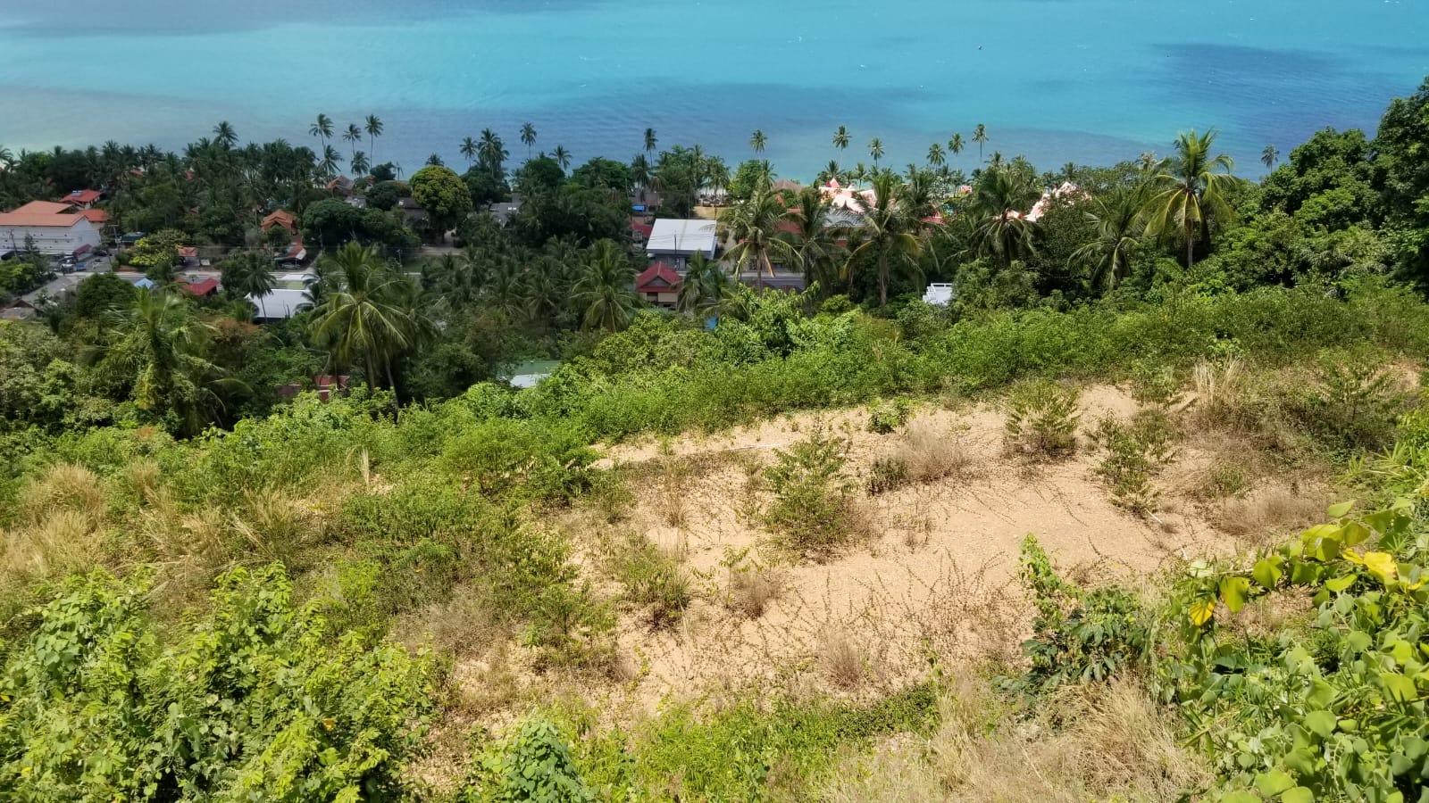 1,600 Sqm (1 Rai) Sea view Land For Sale Bang Po, Koh Sami (Thai-Real.com)